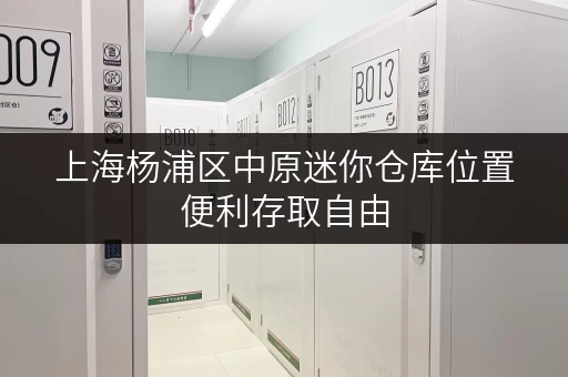 上海杨浦区中原迷你仓库位置便利存取自由