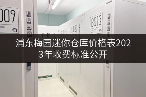 浦东梅园迷你仓库价格表2023年收费标准公开