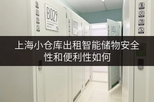 上海小仓库出租智能储物安全性和便利性如何