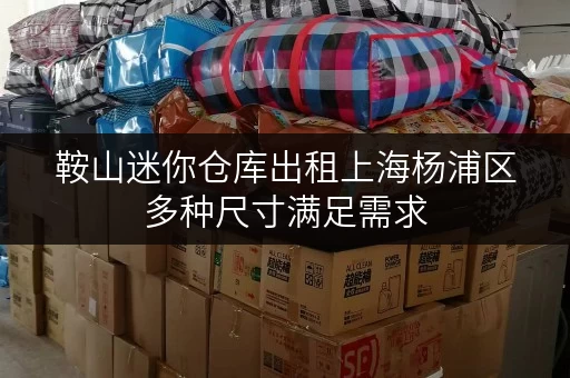 鞍山迷你仓库出租上海杨浦区多种尺寸满足需求