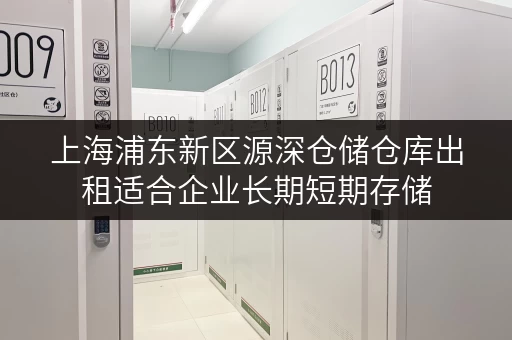 上海浦东新区源深仓储仓库出租适合企业长期短期存储