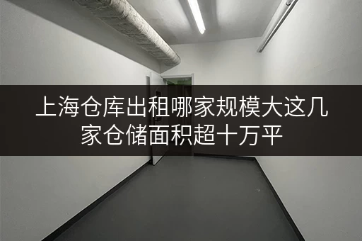 上海仓库出租哪家规模大这几家仓储面积超十万平 上海仓库出租哪家规模大这几家仓储面积超十万平