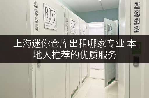 上海迷你仓库出租哪家专业 本地人推荐的优质服务