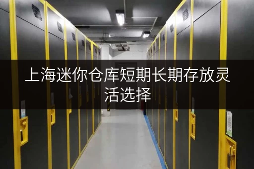 上海迷你仓库短期长期存放灵活选择
