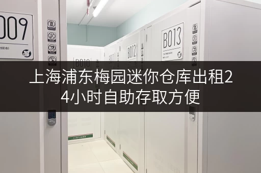 上海浦东梅园迷你仓库出租24小时自助存取方便