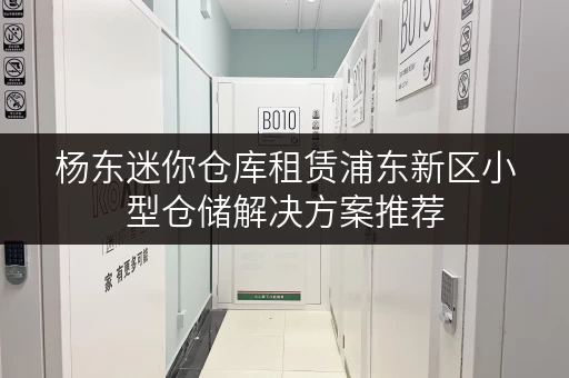 杨东迷你仓库租赁浦东新区小型仓储解决方案推荐 杨东迷你仓库租赁浦东新区小型仓储解决方案推荐