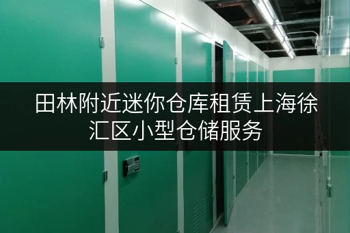 田林附近迷你仓库租赁上海徐汇区小型仓储服务 田林附近迷你仓库租赁上海徐汇区小型仓储服务