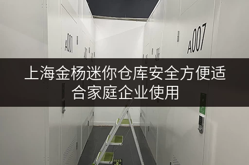 上海金杨迷你仓库安全方便适合家庭企业使用 上海金杨迷你仓库安全方便适合家庭企业使用