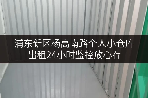 浦东新区杨高南路个人小仓库出租24小时监控放心存 浦东新区杨高南路个人小仓库出租24小时监控放心存