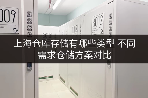 上海仓库存储有哪些类型 不同需求仓储方案对比 上海仓库存储有哪些类型 不同需求仓储方案对比