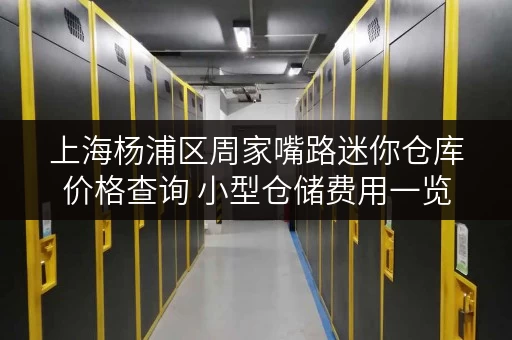 上海杨浦区周家嘴路迷你仓库价格查询 小型仓储费用一览