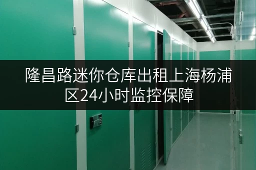 隆昌路迷你仓库出租上海杨浦区24小时监控保障 隆昌路迷你仓库出租上海杨浦区24小时监控保障