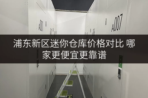 浦东新区迷你仓库价格对比 哪家更便宜更靠谱 浦东新区迷你仓库价格对比 哪家更便宜更靠谱