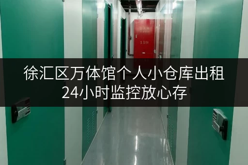 徐汇区万体馆个人小仓库出租24小时监控放心存
