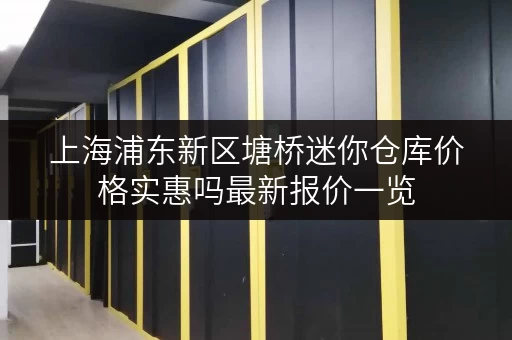 上海浦东新区塘桥迷你仓库价格实惠吗最新报价一览