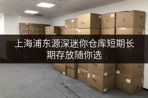 上海浦东源深迷你仓库短期长期存放随你选