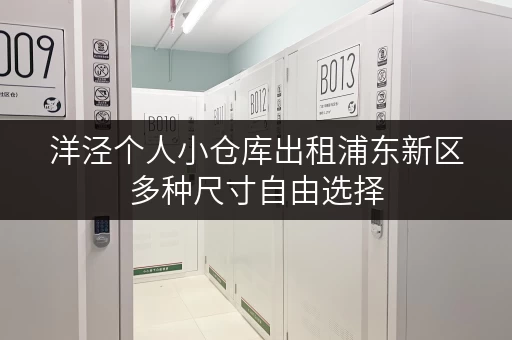 洋泾个人小仓库出租浦东新区多种尺寸自由选择 洋泾个人小仓库出租浦东新区多种尺寸自由选择