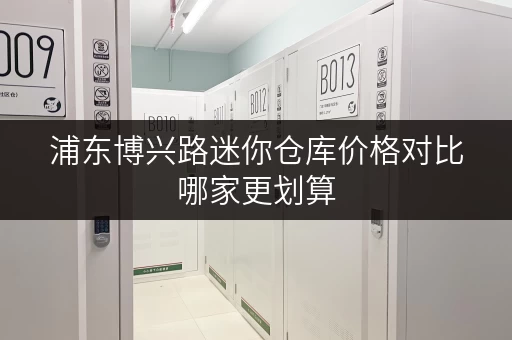 浦东博兴路迷你仓库价格对比哪家更划算 浦东博兴路迷你仓库价格对比哪家更划算