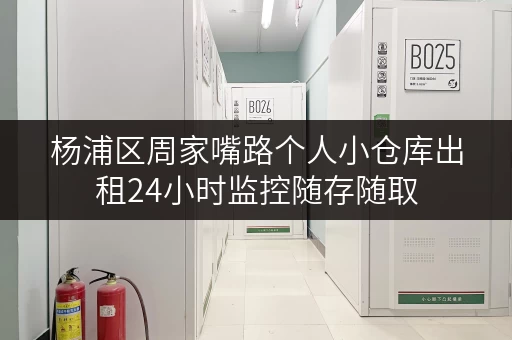 杨浦区周家嘴路个人小仓库出租24小时监控随存随取 杨浦区周家嘴路个人小仓库出租24小时监控随存随取