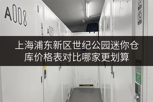 上海浦东新区世纪公园迷你仓库价格表对比哪家更划算