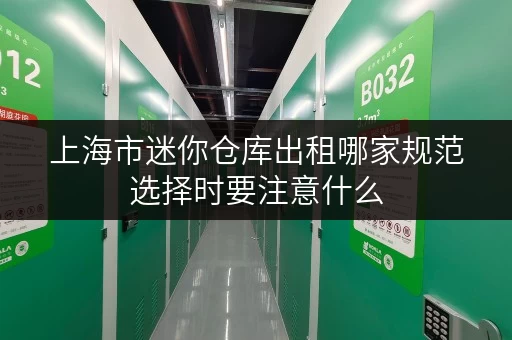 上海市迷你仓库出租哪家规范选择时要注意什么