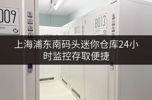 上海浦东南码头迷你仓库24小时监控存取便捷 上海浦东南码头迷你仓库24小时监控存取便捷