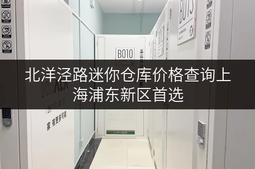 北洋泾路迷你仓库价格查询上海浦东新区首选 北洋泾路迷你仓库价格查询上海浦东新区首选