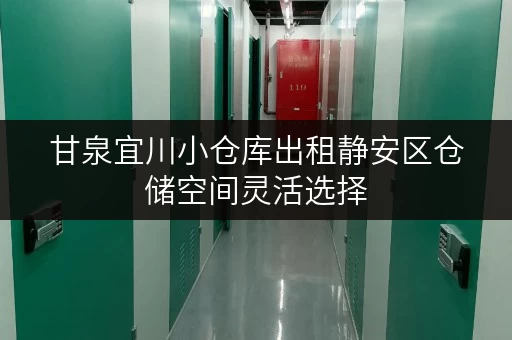 甘泉宜川小仓库出租静安区仓储空间灵活选择 甘泉宜川小仓库出租静安区仓储空间灵活选择
