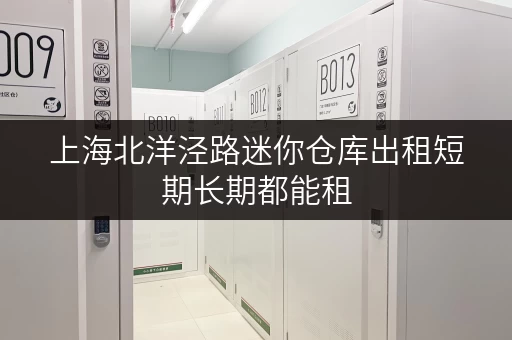 上海北洋泾路迷你仓库出租短期长期都能租 上海北洋泾路迷你仓库出租短期长期都能租