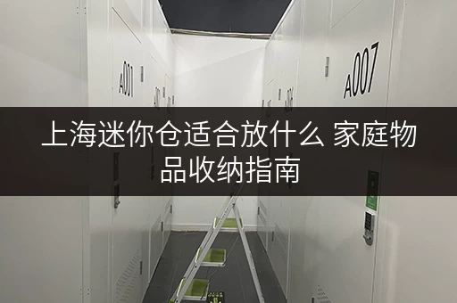 上海迷你仓适合放什么 家庭物品收纳指南 上海迷你仓适合放什么 家庭物品收纳指南