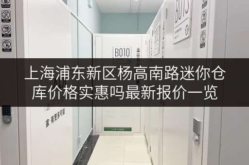 上海浦东新区杨高南路迷你仓库价格实惠吗最新报价一览