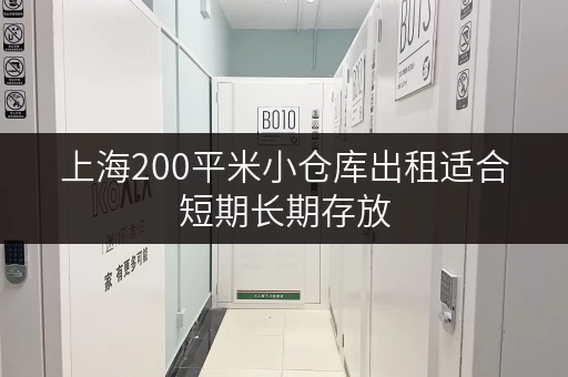 上海200平米小仓库出租适合短期长期存放 上海200平米小仓库出租适合短期长期存放