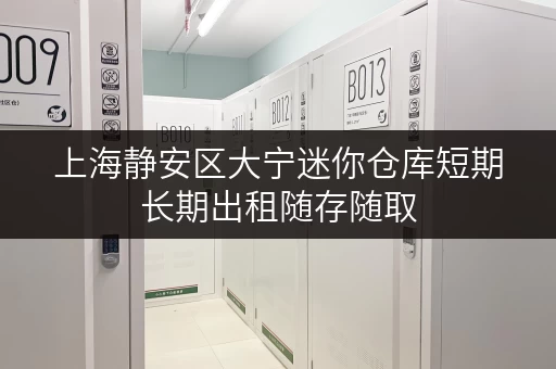 上海静安区大宁迷你仓库短期长期出租随存随取 上海静安区大宁迷你仓库短期长期出租随存随取