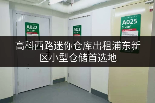高科西路迷你仓库出租浦东新区小型仓储首选地