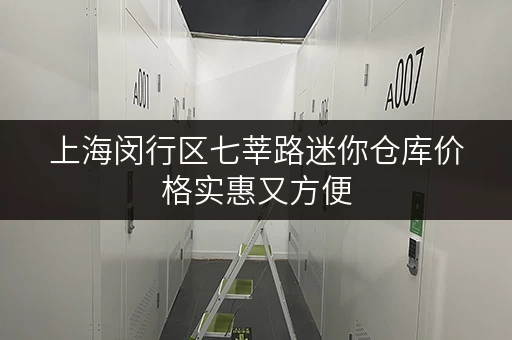 上海闵行区七莘路迷你仓库价格实惠又方便 上海闵行区七莘路迷你仓库价格实惠又方便