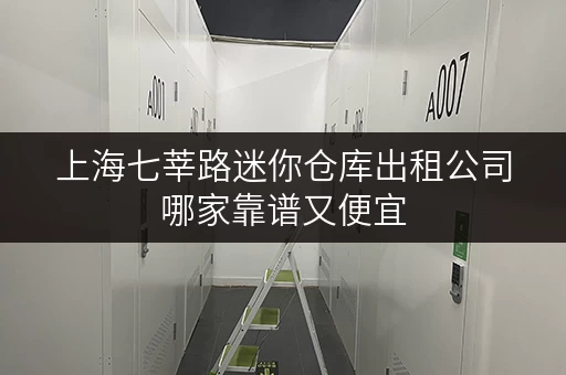 上海七莘路迷你仓库出租公司哪家靠谱又便宜
