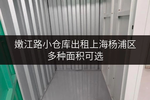 嫩江路小仓库出租上海杨浦区多种面积可选