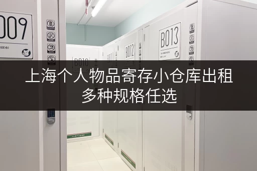 上海个人物品寄存小仓库出租多种规格任选