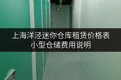 上海洋泾迷你仓库租赁价格表小型仓储费用说明 上海洋泾迷你仓库租赁价格表小型仓储费用说明