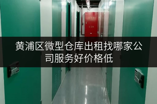 黄浦区微型仓库出租找哪家公司服务好价格低 黄浦区微型仓库出租找哪家公司服务好价格低