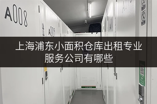 上海浦东小面积仓库出租专业服务公司有哪些 上海浦东小面积仓库出租专业服务公司有哪些