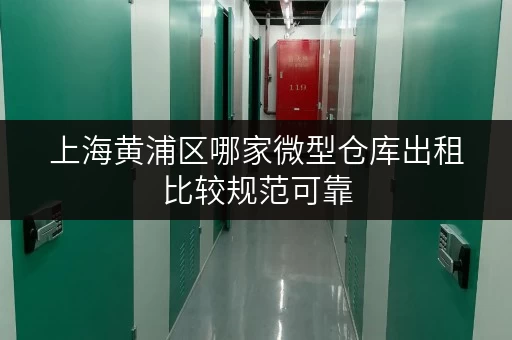 上海黄浦区哪家微型仓库出租比较规范可靠 上海黄浦区哪家微型仓库出租比较规范可靠