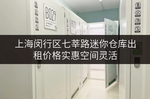 上海闵行区七莘路迷你仓库出租价格实惠空间灵活 上海闵行区七莘路迷你仓库出租价格实惠空间灵活
