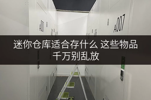 迷你仓库适合存什么 这些物品千万别乱放 迷你仓库适合存什么 这些物品千万别乱放