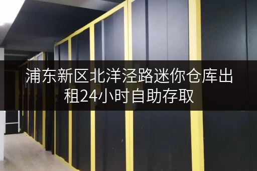 浦东新区北洋泾路迷你仓库出租24小时自助存取