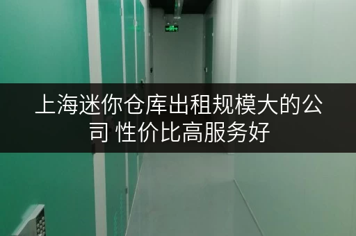 上海迷你仓库出租规模大的公司 性价比高服务好 上海迷你仓库出租规模大的公司 性价比高服务好