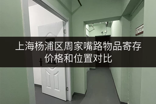 上海杨浦区周家嘴路物品寄存价格和位置对比