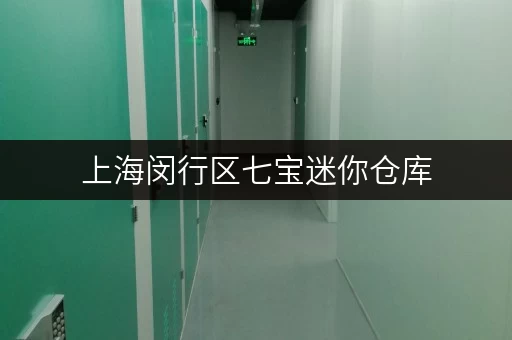 上海闵行区七宝迷你仓库,货物存放更省心的存储方案 上海闵行区七宝迷你仓库,货物存放更省心的存储方案