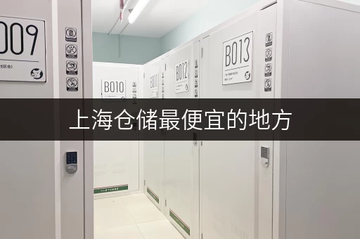 上海仓储最便宜的地方,随存随取,便捷无忧 上海仓储最便宜的地方,随存随取,便捷无忧