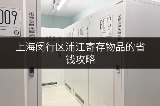 上海闵行区浦江寄存物品的省钱攻略,揭秘价格透明背后的秘密 上海闵行区浦江寄存物品的省钱攻略,揭秘价格透明背后的秘密